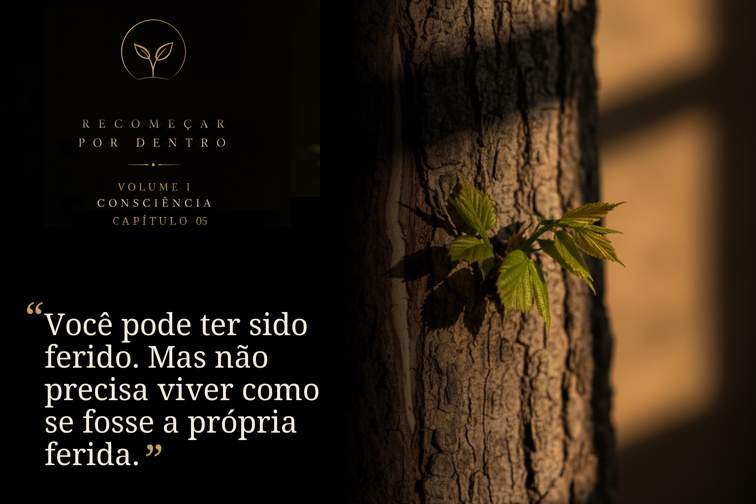 Você pode ter sido ferido. Mas não precisa viver como se fosse a própria ferida.